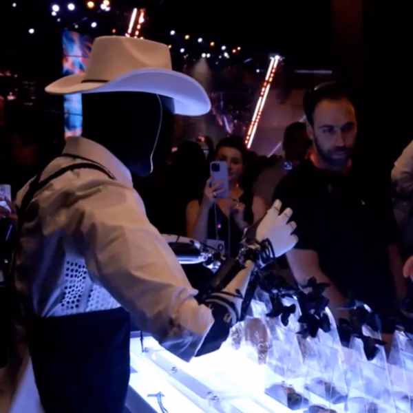 cowboy optimus.png