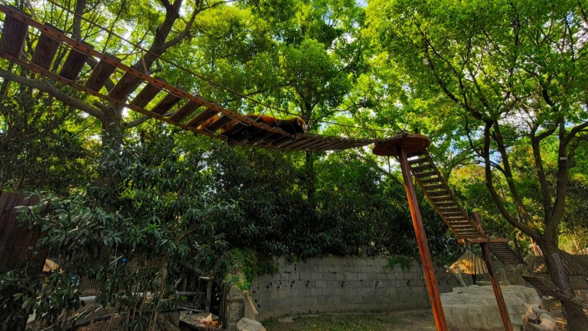 Oppo Find X8 Pro станет первым смартфоном с двойной перископической телекамерой 10 find x8 pro camera 5