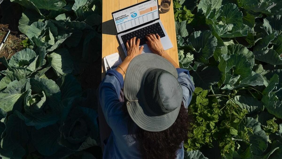 Apple представила MacBook Pro с процессорами серии M4 4 Apple представила MacBook Pro