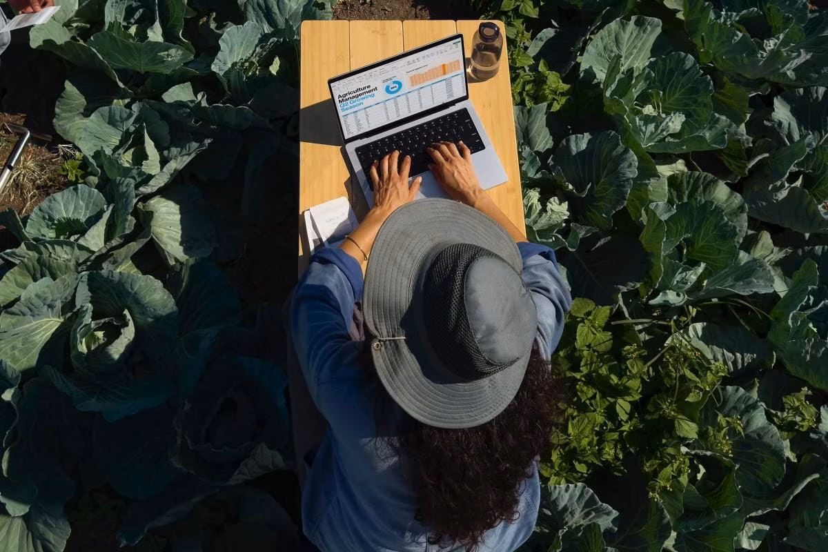 Apple представила MacBook Pro с процессорами серии M4 4 Apple представила MacBook Pro