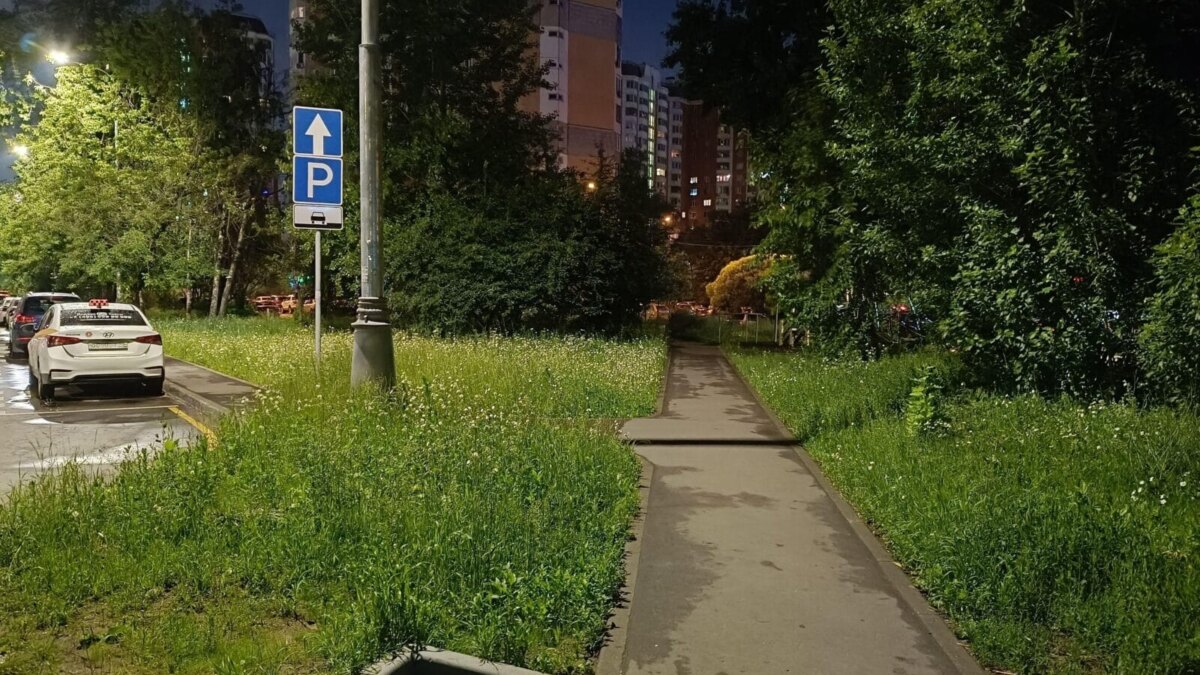 Обзор realme 12+: чистый изумруд, а не смартфон 50 img20240618003205 scaled