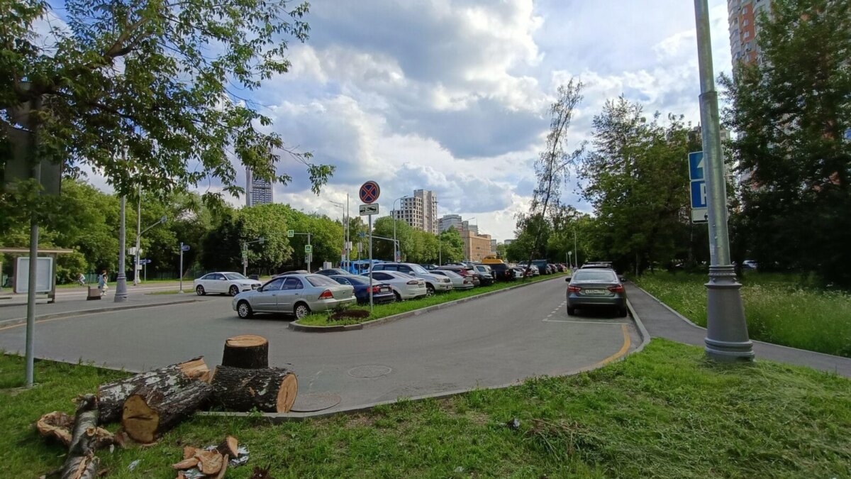 Обзор realme 12+: чистый изумруд, а не смартфон 64 img20240619165041 scaled