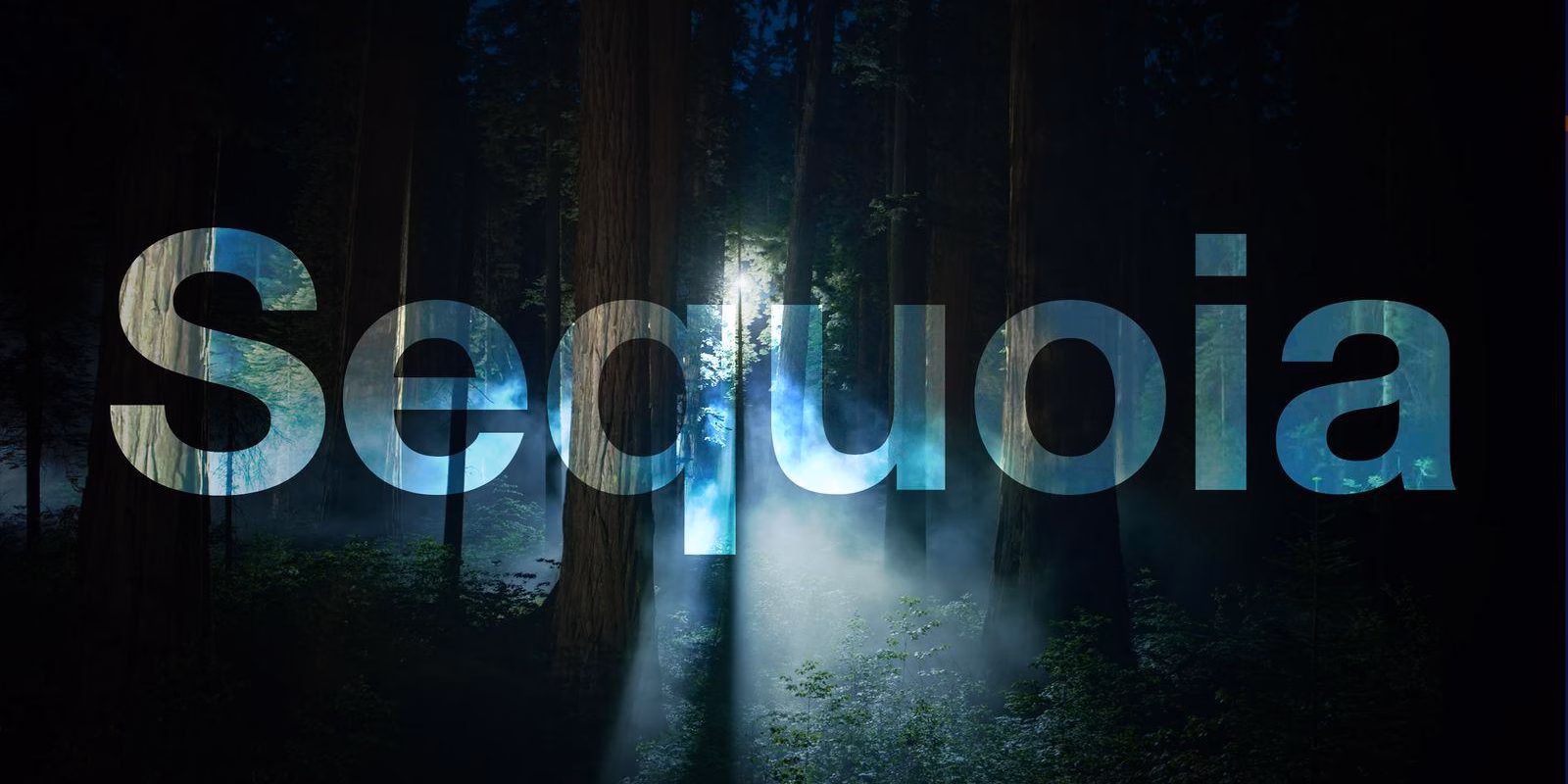 Apple выпустила macOS Sequoia 15.0.1 с исправлением ошибок 1 macos sequoia night feature