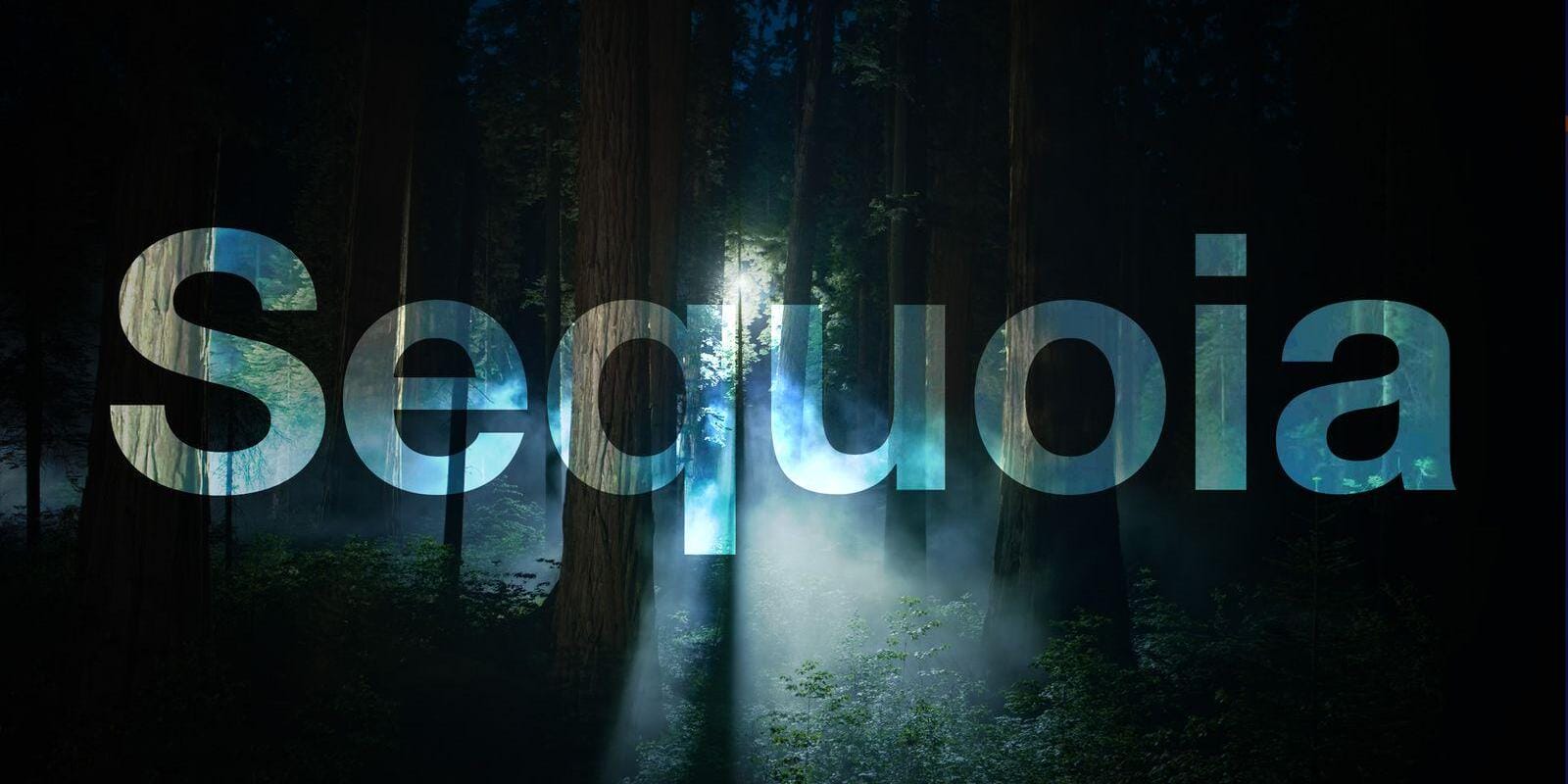Apple выпустила macOS Sequoia 15.0.1 с исправлением ошибок 1 macos sequoia night feature