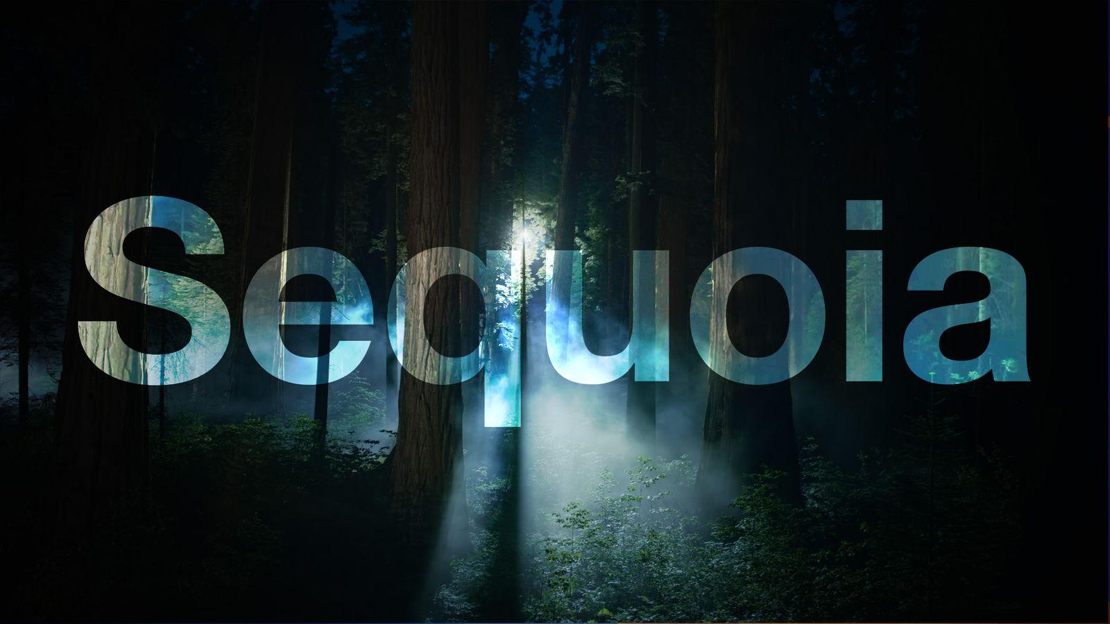Macos sequoia 15.0. Macos sequoia 15.0