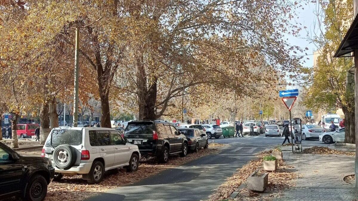 Деревья с опавшими листьями и припаркованные автомобили на улице
