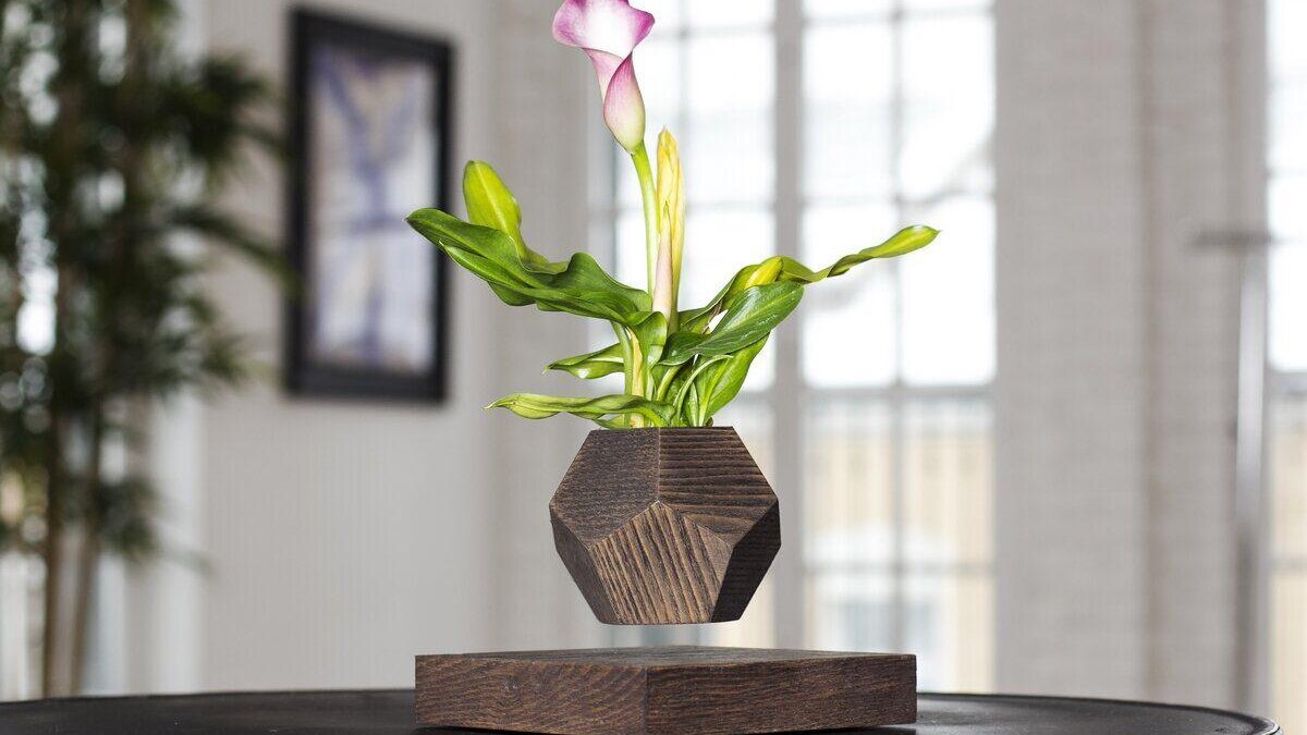 Топ-7 необычных подарков на Новый год 15 Новый год