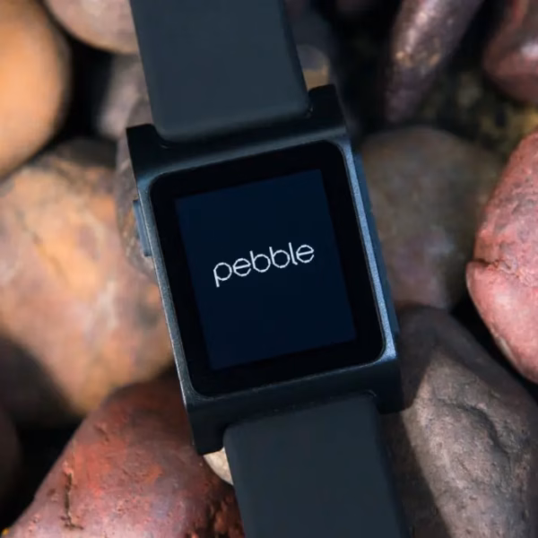 pebble is back from the deal.jpg