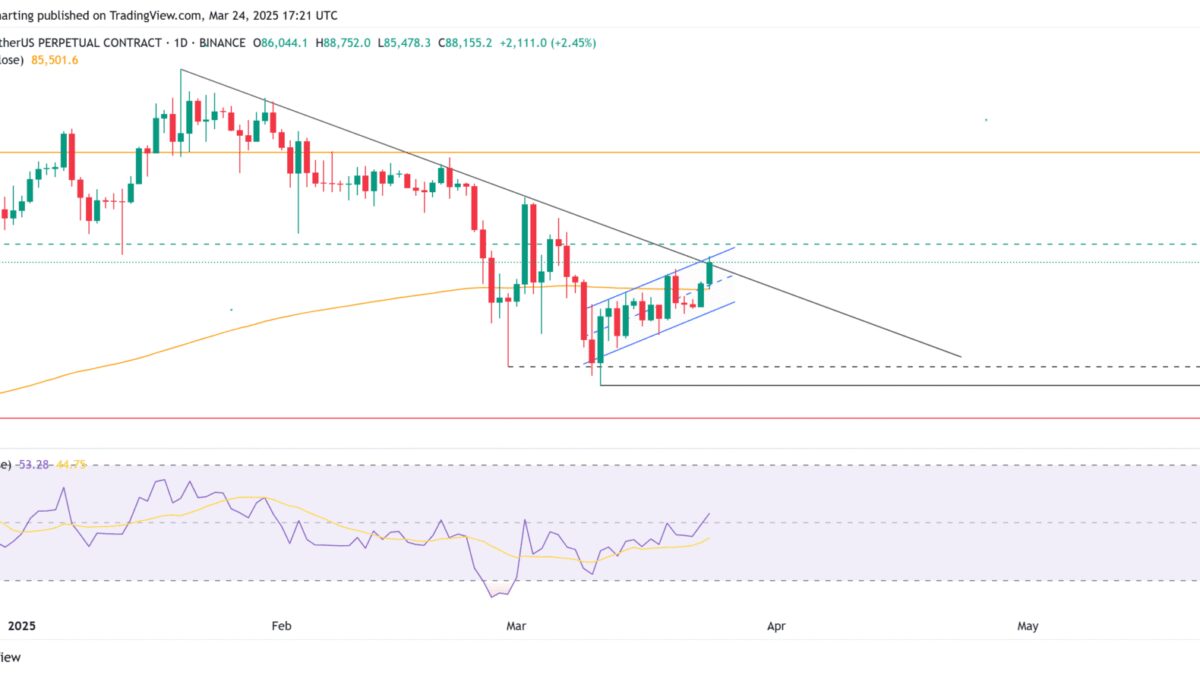 0195c92c f308 7f19 9637 eb3938e643d6