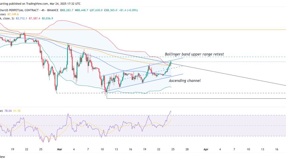 0195c936 89aa 7f8c a1fc 3b84aaad85ba