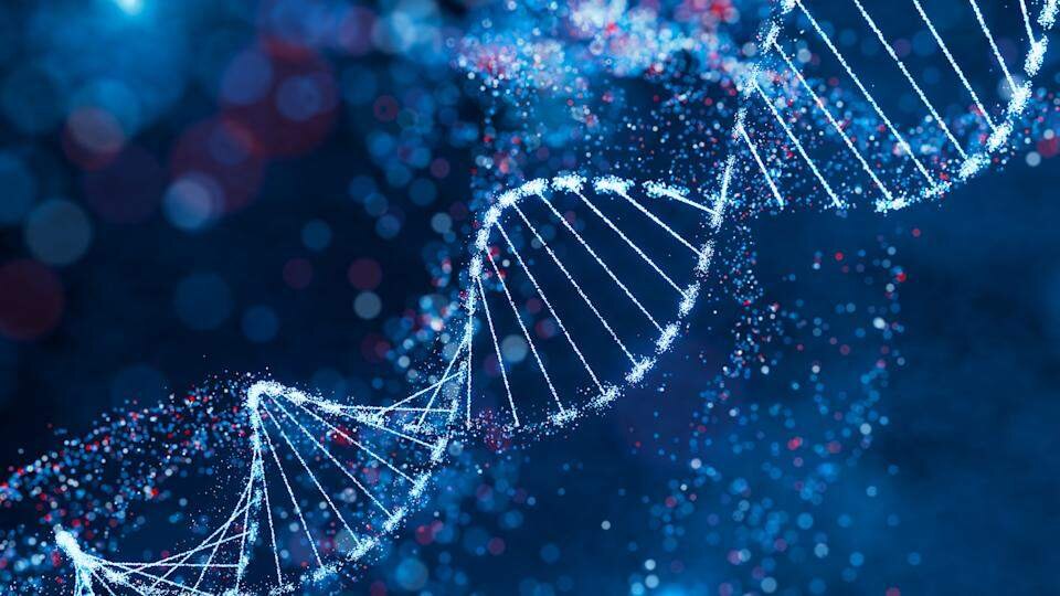 Как удалить свои данные из 23andMe: инструкция по защите генетической информации 3 23bf2650 08e8 11f0 8c3e 629d0cbac684