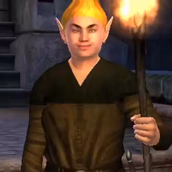 The Elder Scrolls IV: Oblivion