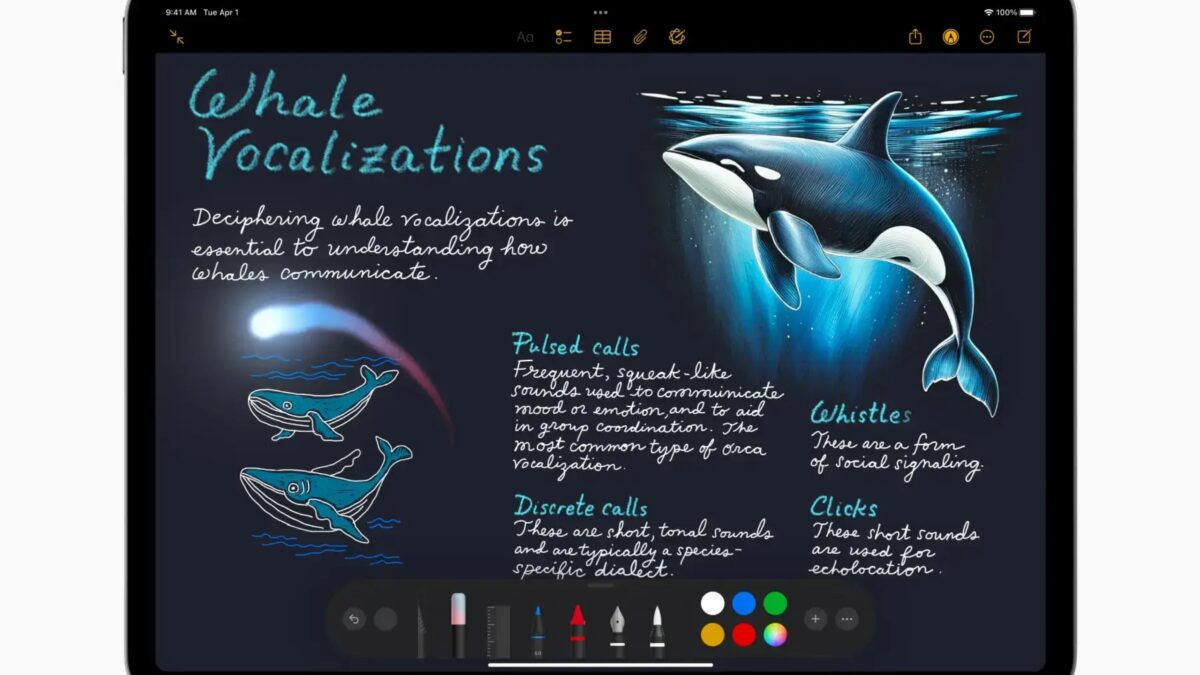 Apple iPad (2025) VS iPad Air (2025): что выбрать в эпоху ИИ? 19 Apple