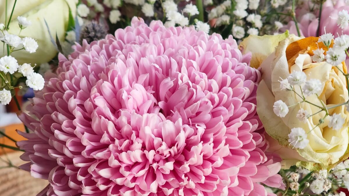 Nothing Phone 3A и 3A Pro: смартфоны с ИИ для порядка в хаосе 11 img 20250225 163931946.jpg