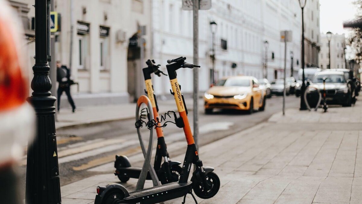 240561081 1979402482