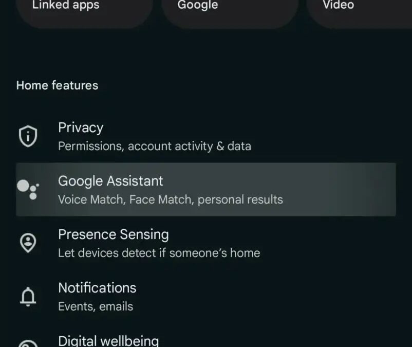 google home assistant settings 1.jpg