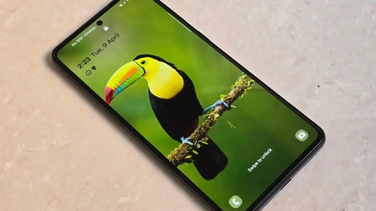 Экран смартфона Samsung Galaxy M56 с ярким изображением тукана на дисплее
