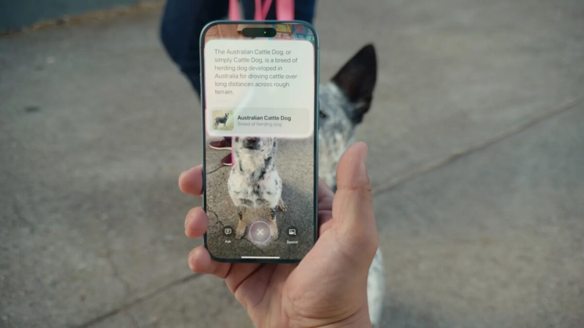 iOS 18.4 расширила функцию Visual Intelligence на большее число iPhone 4 visual intelligence dog.jpeg