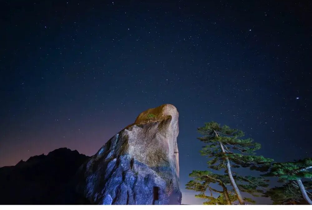 Представлен vivo X200 Ultra: новый флагман с уникальной камерой и дополнительным объективом 6 vyavyavy