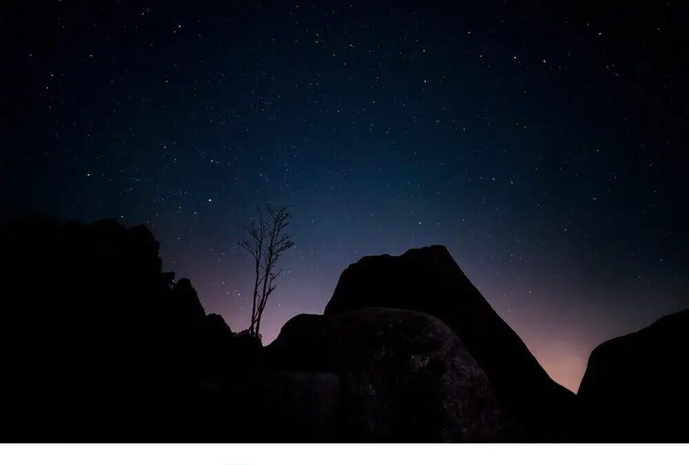 Представлен vivo X200 Ultra: новый флагман с уникальной камерой и дополнительным объективом 5 yachsya