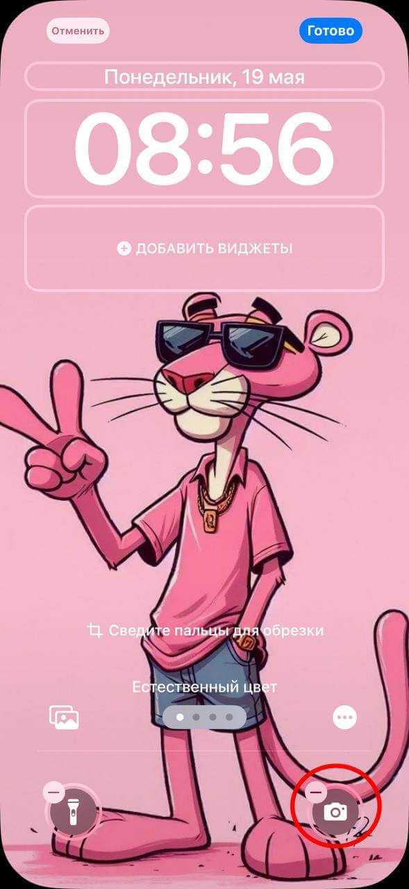 Apple Music: как добавить плейлист на экран блокировки 21 Apple Music