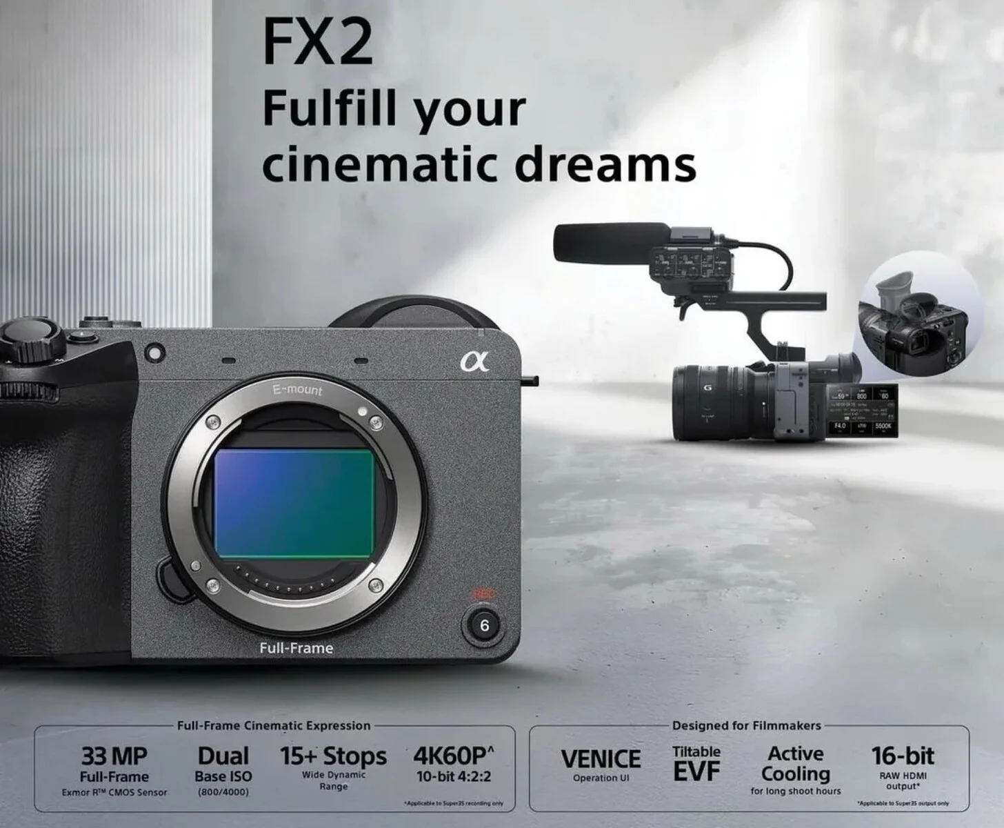 Sony FX2