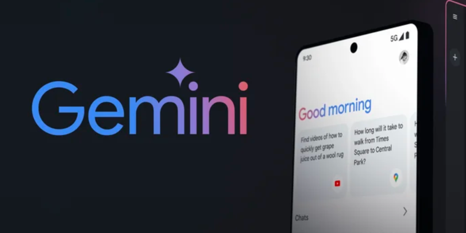 Gemini Play Store