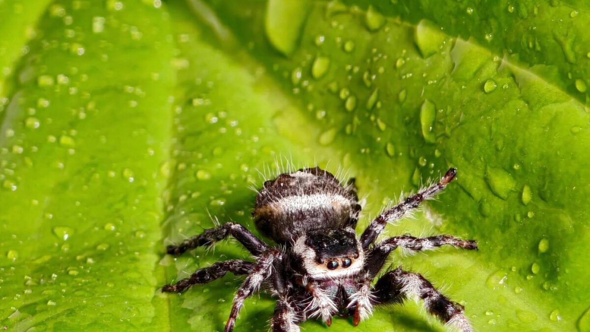 vivo x fold 5 periscope camera sample 3 1387x2048 1