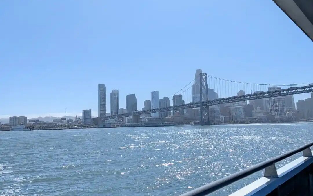 Google обновила просмотрщик Google Photos на Android 8 google photos viewer redesign 1a.jpg