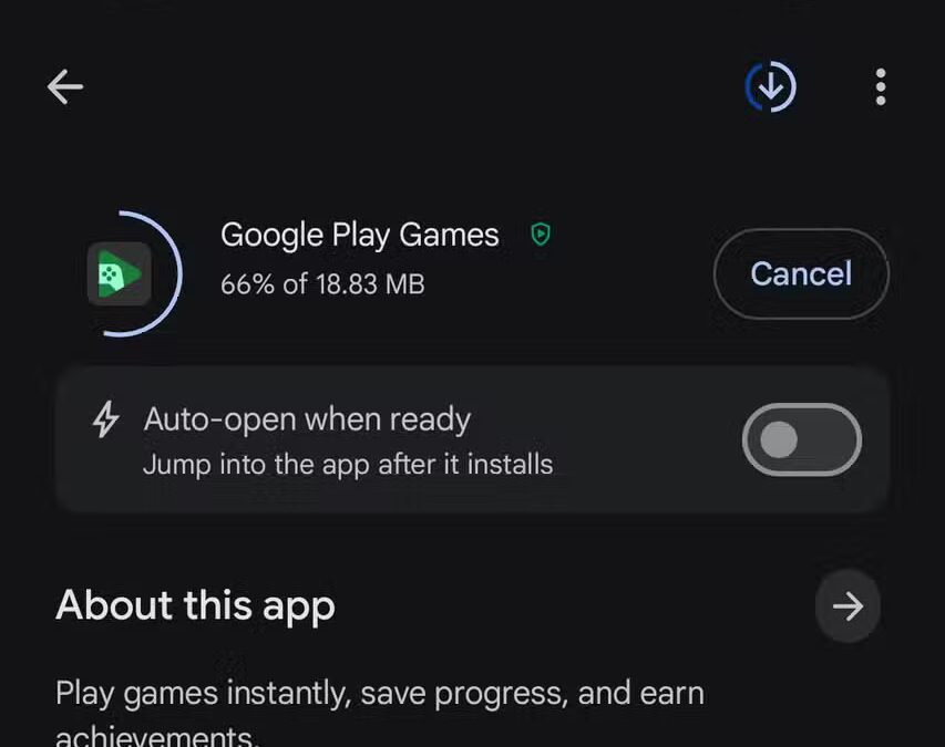 google play store auto open toggle dm
