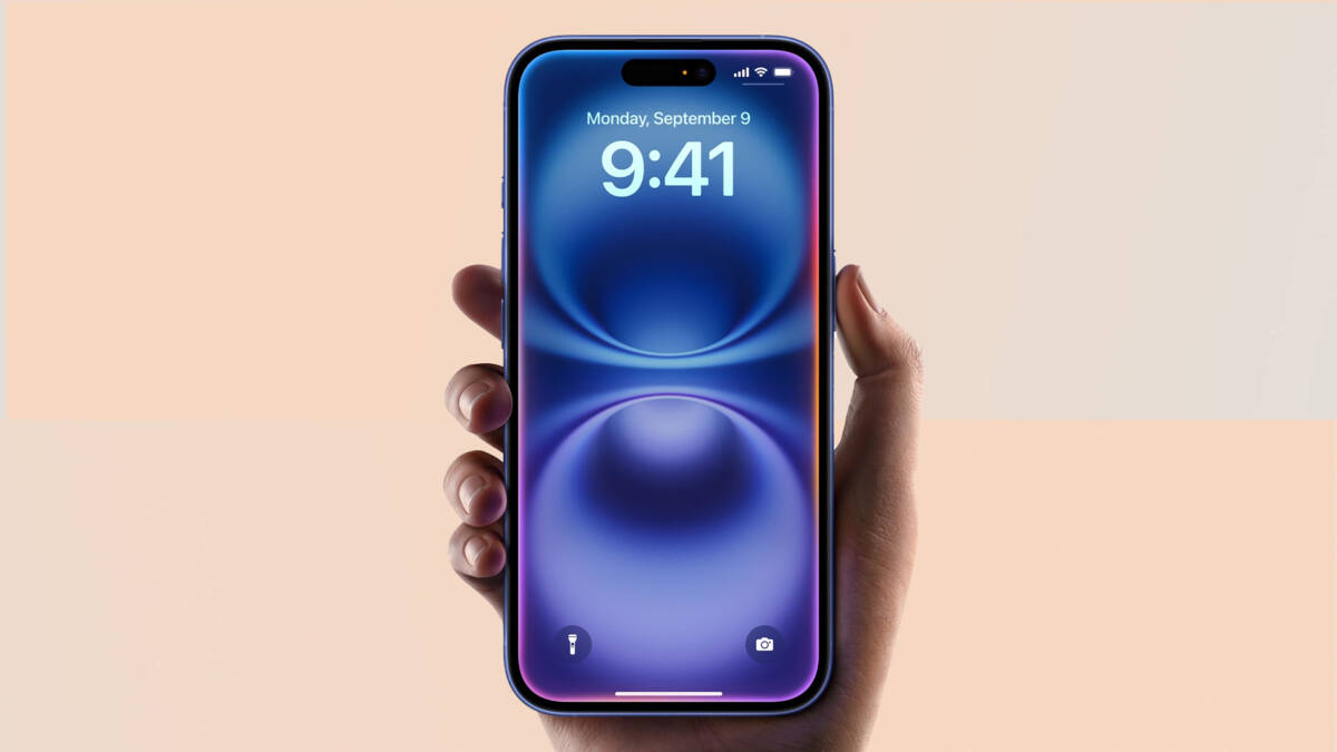 brudhd55bsvmzbhabdrpp