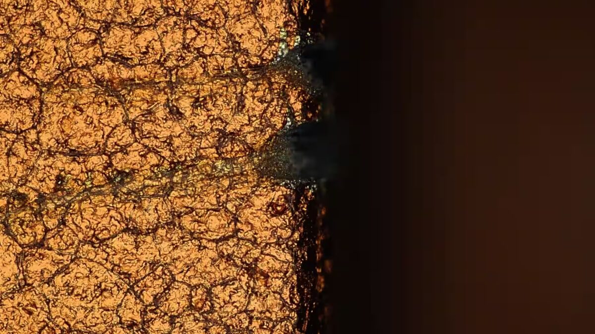 xiaomi 15t pro 5.jpg 1