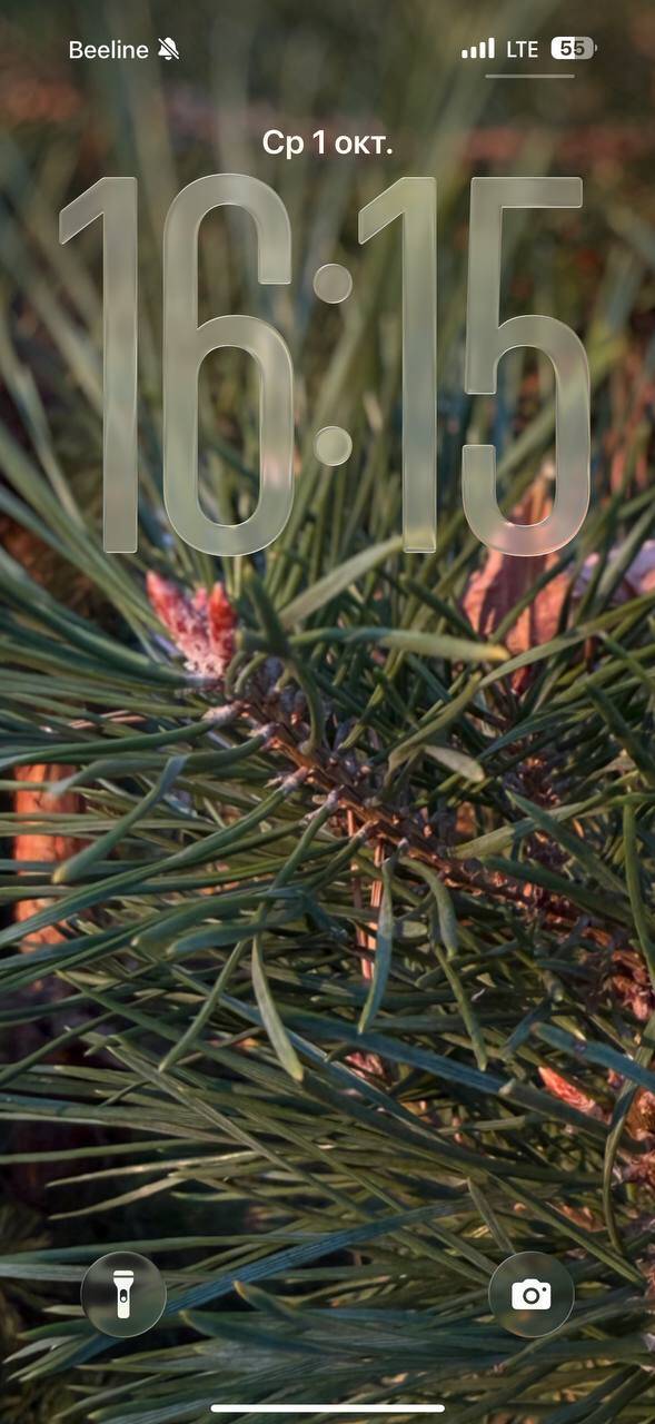 Живые обои iOS 26 и iPadOS 26: как сделать на iPhone и iPad 25 5397811303457881250