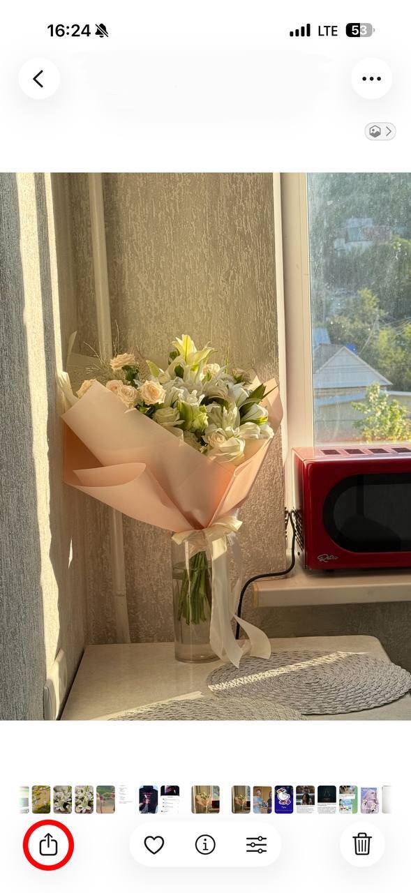 Живые обои iOS 26 и iPadOS 26: как сделать на iPhone и iPad 33 5397811303457881373