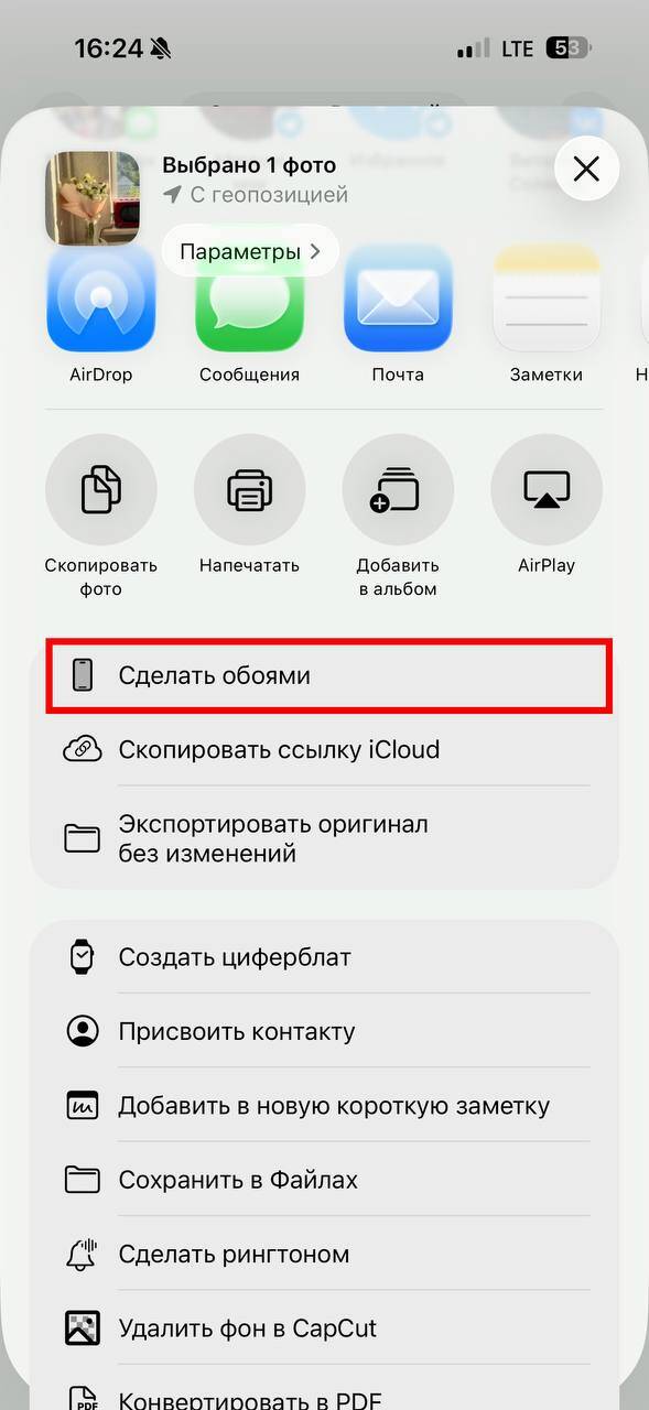 Живые обои iOS 26 и iPadOS 26: как сделать на iPhone и iPad 34 5397811303457881374