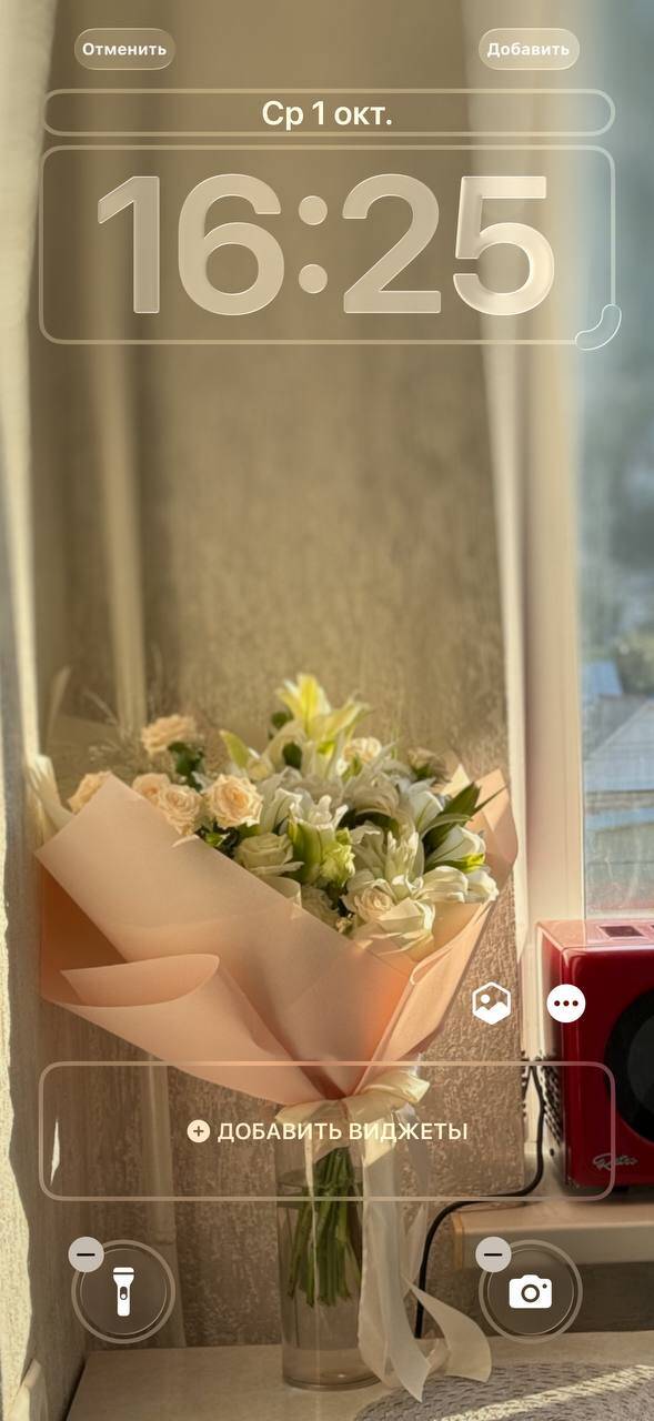 Живые обои iOS 26 и iPadOS 26: как сделать на iPhone и iPad 35 5397811303457881375