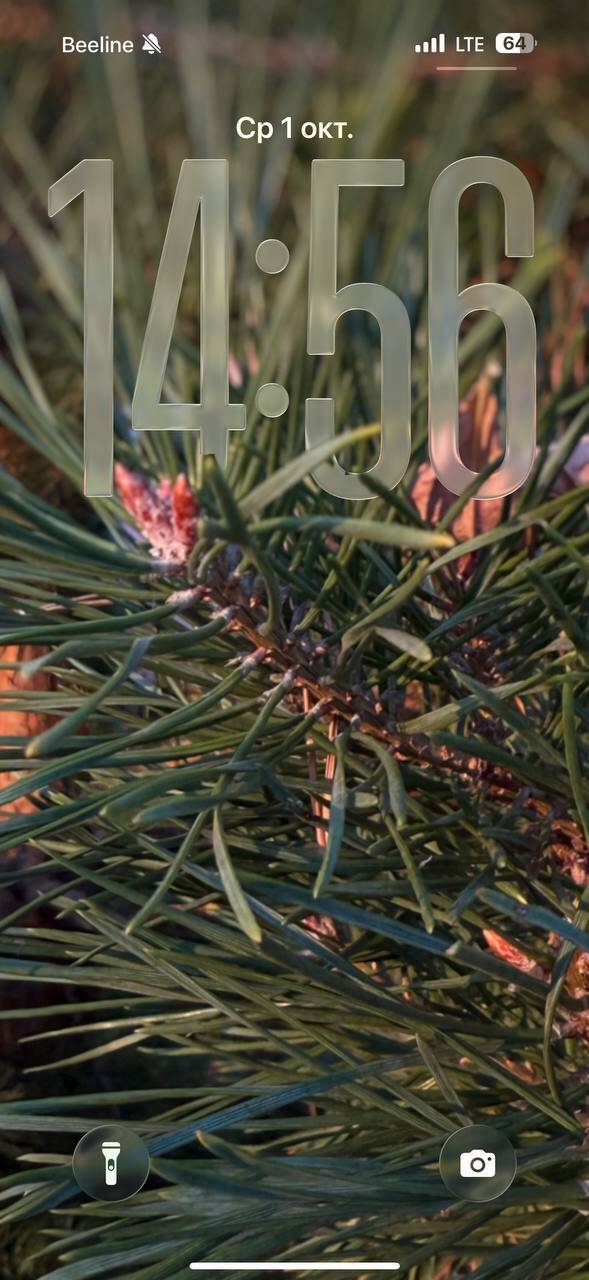 Живые обои iOS 26 и iPadOS 26: как сделать на iPhone и iPad 29 5404521266439911700