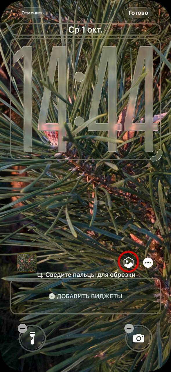 Живые обои iOS 26 и iPadOS 26: как сделать на iPhone и iPad 31 5404521266439911707