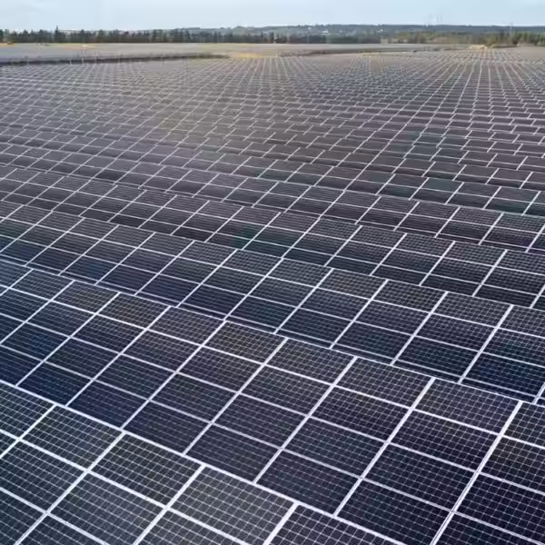 65387 136783 img 2980 xl