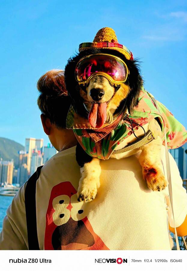 Nubia Z80 Ultra: подтверждён дизайн и дата запуска 12 gsmarena 011