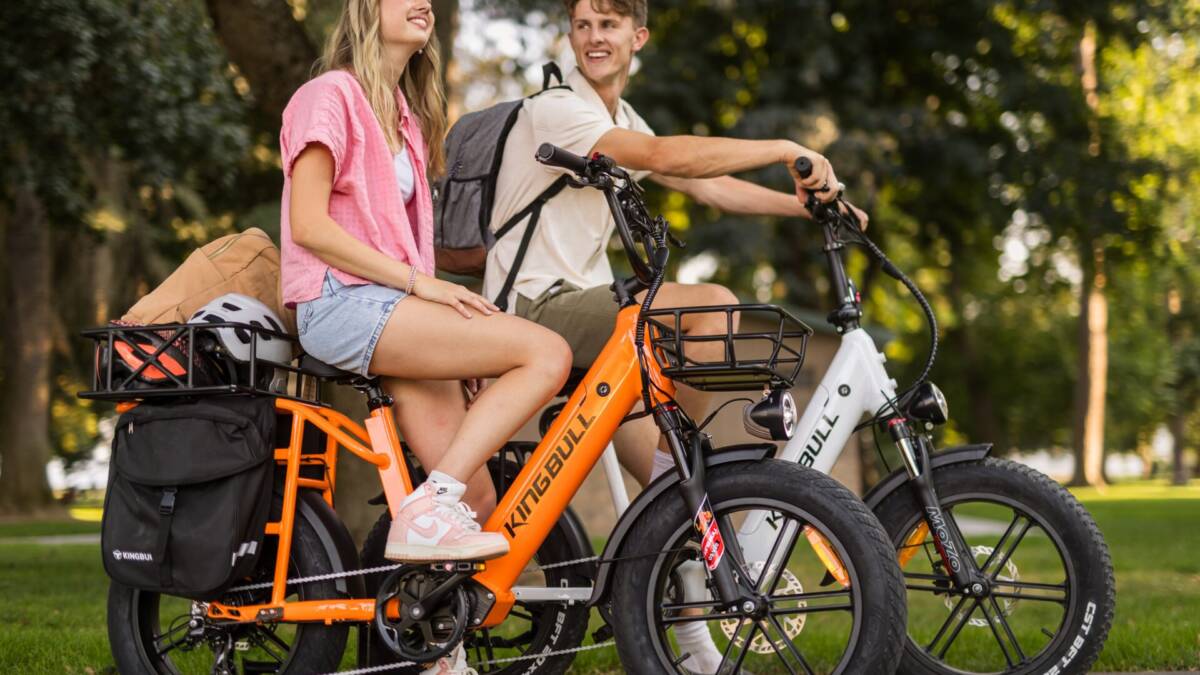 Kingbull представила грузовой электровелосипед Voyager 2.0 с запасом хода до 160 км 3 kingbull voyager 2.0 1 1 1920x1280 1