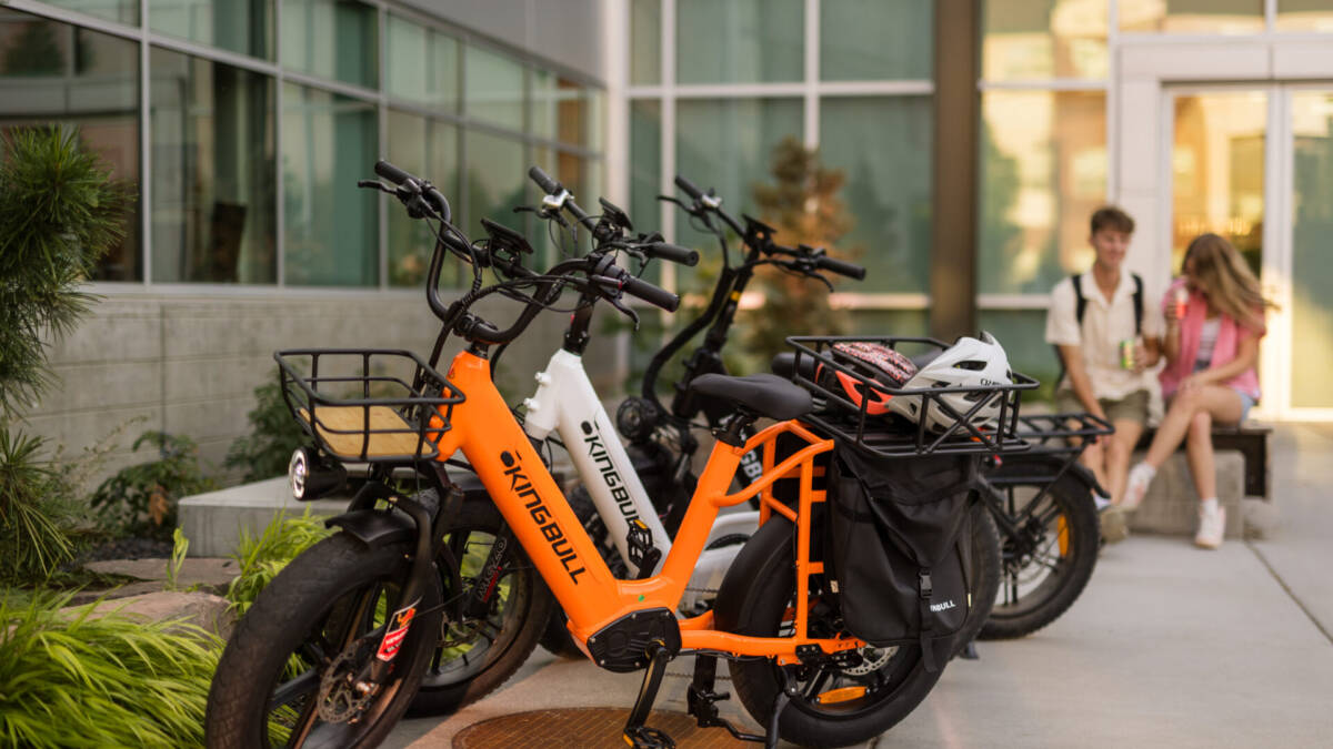 Kingbull представила грузовой электровелосипед Voyager 2.0 с запасом хода до 160 км 4 kingbull voyager 2.0 1920x1280 1