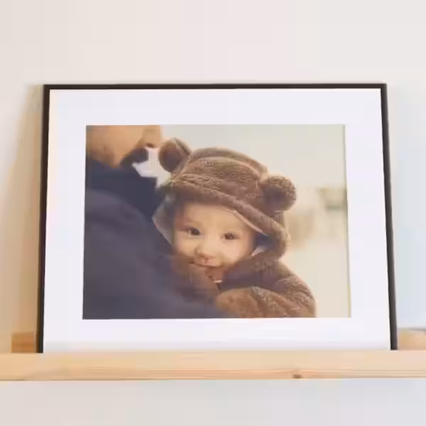 qirtfmwy8hv9b8fz1hamrawcq1fvbsrs84w7cwv