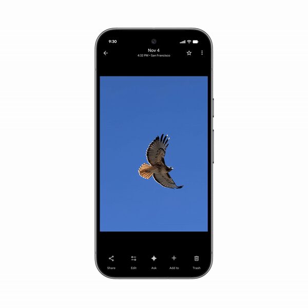 ezgif 8bb287089d12c889