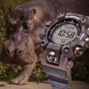 Casio представила лимитированные часы G-Shock Mudman GW-9502KJ-8, вдохновлённые бегемотом 5 gw 9502kj 8 feature 1