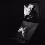 Asus готовит обновлённый Zenbook Duo 2026 с улучшенными дисплеями и автономностью 8 asus zenbook duo 2026