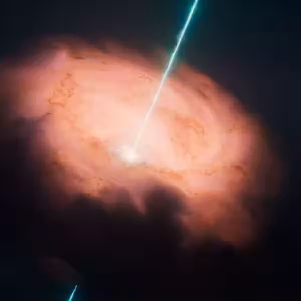 a conceptual image depicting the core of the circinus galaxy14