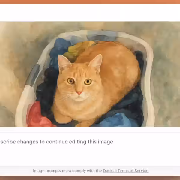 duckduckgo duckai image edit