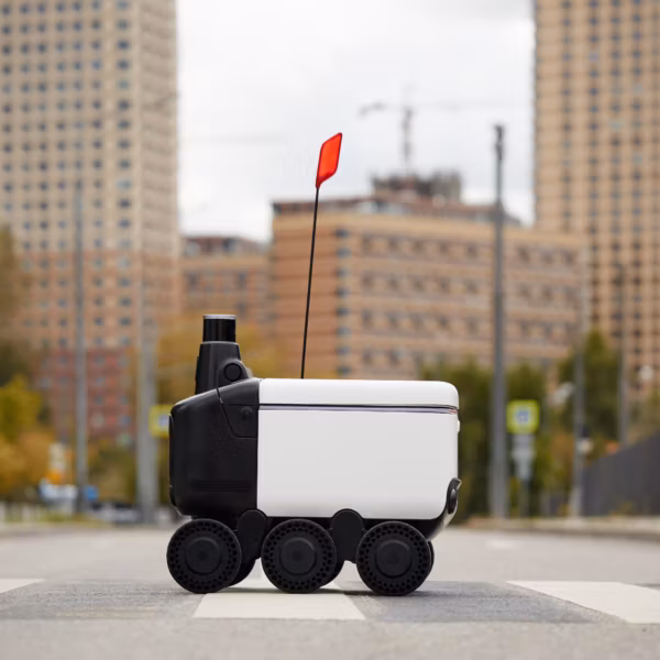 Робот-доставка Яндекс на пешеходной zebra crossing