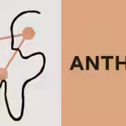 anthropic header